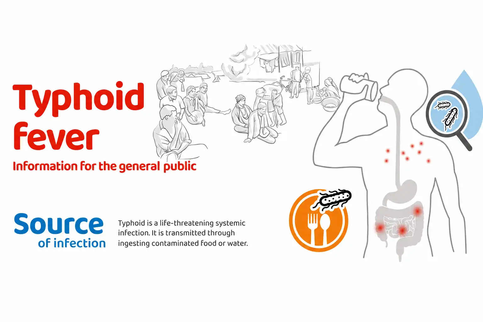 Typhoid fever information for the general public