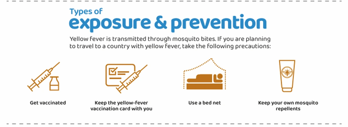 Yellow fever prevention steps including vaccination, carrying a vaccination card, using a bed net, and using mosquito repellent