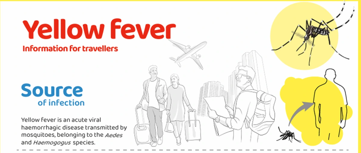 Illustration showing yellow fever information and mosquito transmission