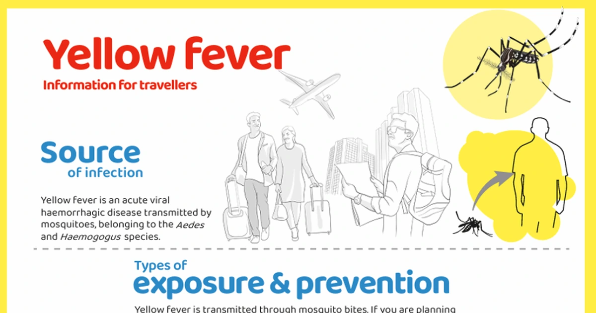 Yellow fever information for international travelers, including mosquito transmission and travel vaccination